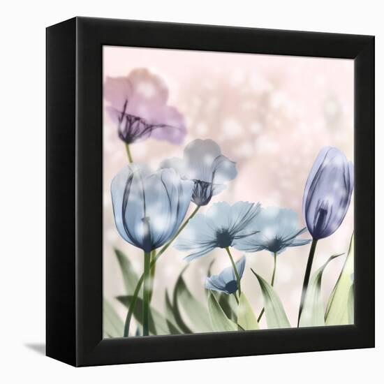 Garden Of Wonders 2-Albert Koetsier-Framed Stretched Canvas