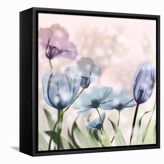 Garden Of Wonders 2-Albert Koetsier-Framed Stretched Canvas