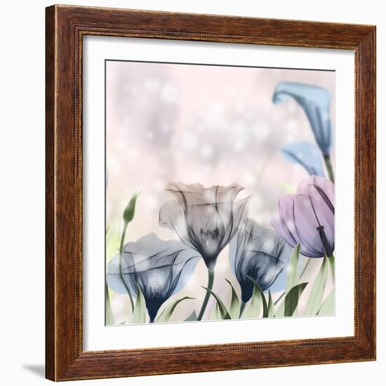 Garden Of Wonders 3-Albert Koetsier-Framed Photographic Print