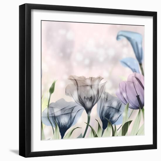 Garden Of Wonders 3-Albert Koetsier-Framed Photographic Print