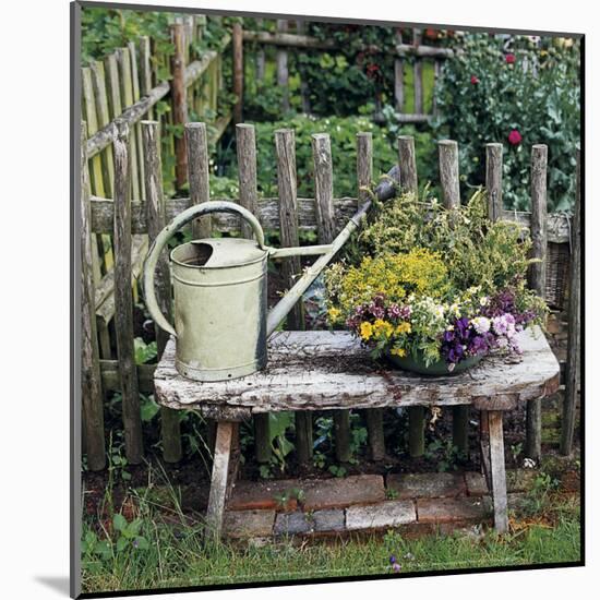 Garden of Yesteryear-Janne Peters-Mounted Art Print