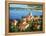 Garden on the Cote d'Azur-Max Hayslette-Framed Premier Image Canvas