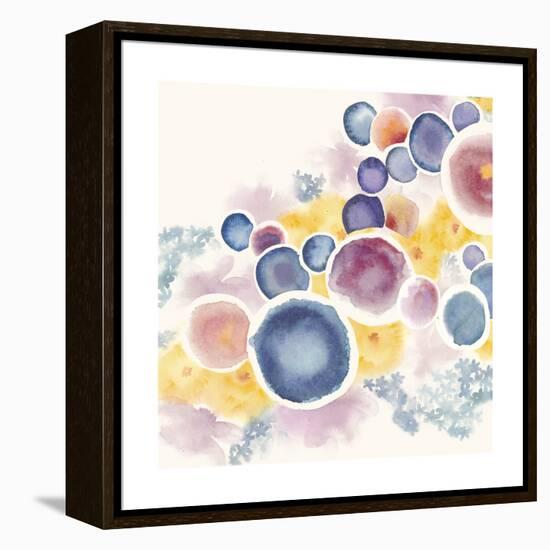 Garden Orb I-Grace Popp-Framed Stretched Canvas