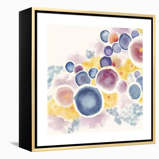 Garden Orb I-Grace Popp-Framed Stretched Canvas