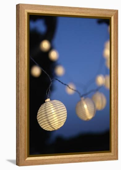 Garden Party, Chain of Lights-Catharina Lux-Framed Premier Image Canvas