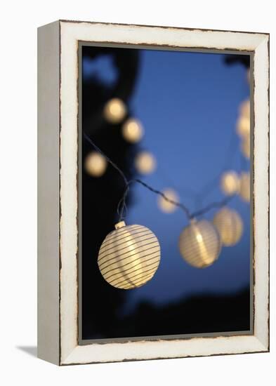 Garden Party, Chain of Lights-Catharina Lux-Framed Premier Image Canvas