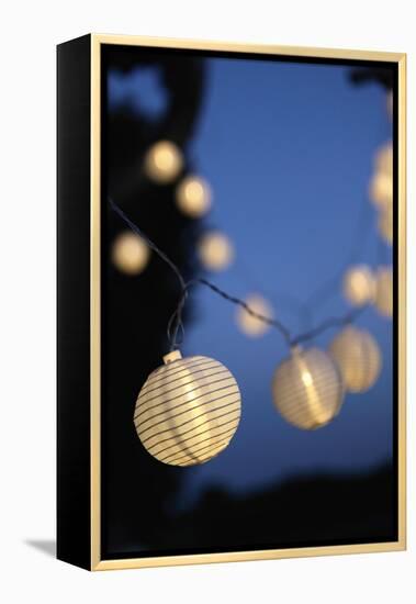 Garden Party, Chain of Lights-Catharina Lux-Framed Premier Image Canvas