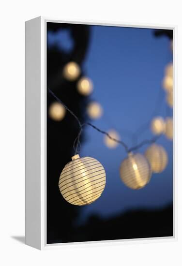 Garden Party, Chain of Lights-Catharina Lux-Framed Premier Image Canvas