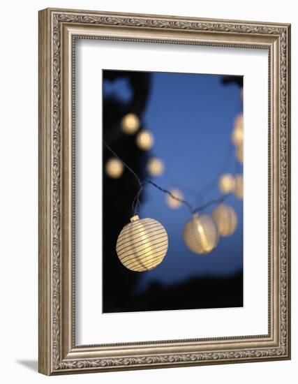 Garden Party, Chain of Lights-Catharina Lux-Framed Photographic Print