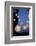 Garden Party, Chain of Lights-Catharina Lux-Framed Photographic Print