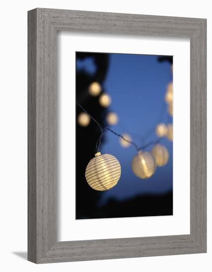 Garden Party, Chain of Lights-Catharina Lux-Framed Photographic Print