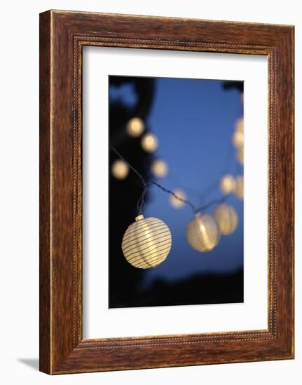 Garden Party, Chain of Lights-Catharina Lux-Framed Photographic Print