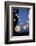 Garden Party, Chain of Lights-Catharina Lux-Framed Photographic Print