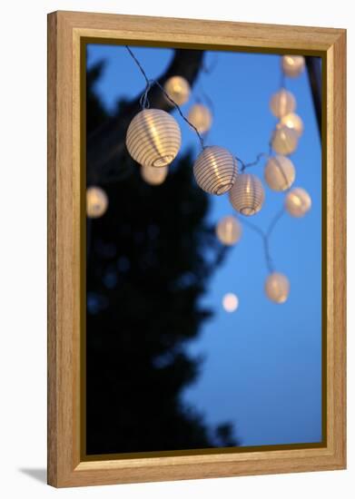 Garden Party, Chain of Lights-Catharina Lux-Framed Premier Image Canvas