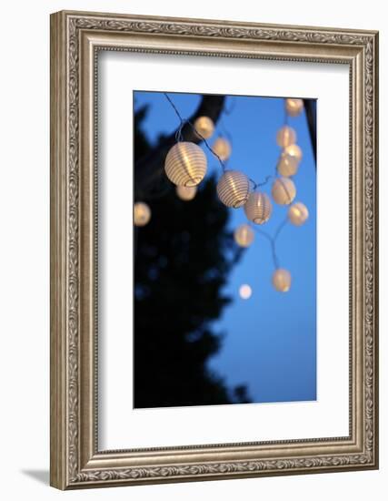 Garden Party, Chain of Lights-Catharina Lux-Framed Photographic Print