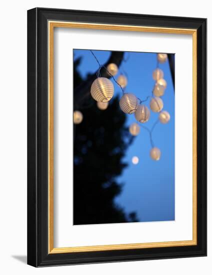 Garden Party, Chain of Lights-Catharina Lux-Framed Photographic Print