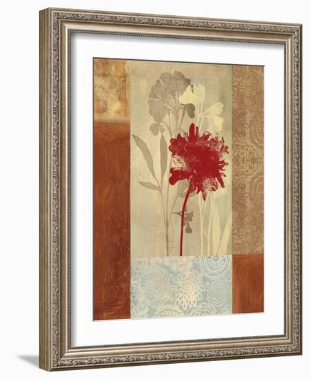 Garden Patchwork-Andrew Michaels-Framed Art Print