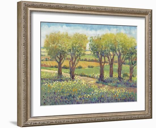 Garden Path I-Tim O'toole-Framed Art Print