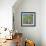 Garden Path-Sylvia Paul-Framed Giclee Print displayed on a wall