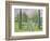 Garden Path-Allayn Stevens-Framed Premium Giclee Print