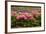 Garden Peonies II-Karyn Millet-Framed Photographic Print