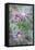 Garden, Plant, Hoarfrost, Flower-Nora Frei-Framed Premier Image Canvas