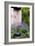 Garden Plants-Archie Young-Framed Photographic Print