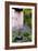 Garden Plants-Archie Young-Framed Photographic Print