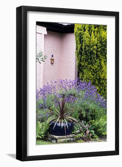 Garden Plants-Archie Young-Framed Photographic Print