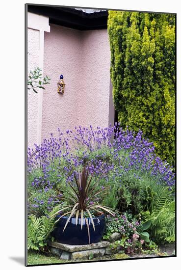 Garden Plants-Archie Young-Mounted Photographic Print