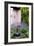 Garden Plants-Archie Young-Framed Photographic Print