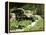 Garden Pond with Waterfall-null-Framed Premier Image Canvas