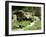 Garden Pond with Waterfall-null-Framed Photographic Print