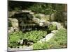 Garden Pond with Waterfall-null-Mounted Photographic Print
