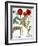 Garden Poppy-Besler Basilius-Framed Giclee Print