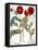 Garden Poppy-Besler Basilius-Framed Premier Image Canvas