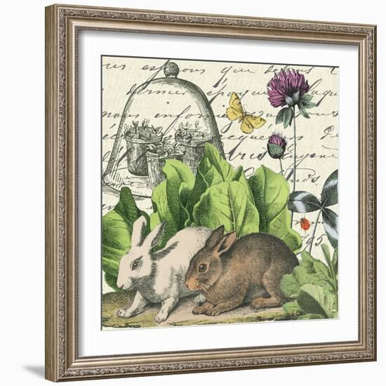 Garden Rabbit II-Wild Apple Portfolio-Framed Art Print