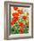 Garden Red Poppies-Christopher Ryland-Framed Giclee Print