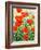 Garden Red Poppies-Christopher Ryland-Framed Giclee Print