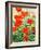 Garden Red Poppies-Christopher Ryland-Framed Giclee Print