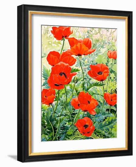 Garden Red Poppies-Christopher Ryland-Framed Giclee Print