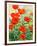 Garden Red Poppies-Christopher Ryland-Framed Giclee Print