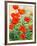 Garden Red Poppies-Christopher Ryland-Framed Giclee Print