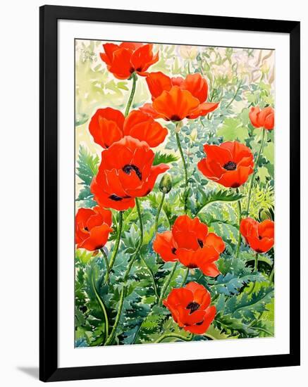 Garden Red Poppies-Christopher Ryland-Framed Giclee Print