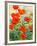 Garden Red Poppies-Christopher Ryland-Framed Giclee Print