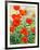 Garden Red Poppies-Christopher Ryland-Framed Giclee Print