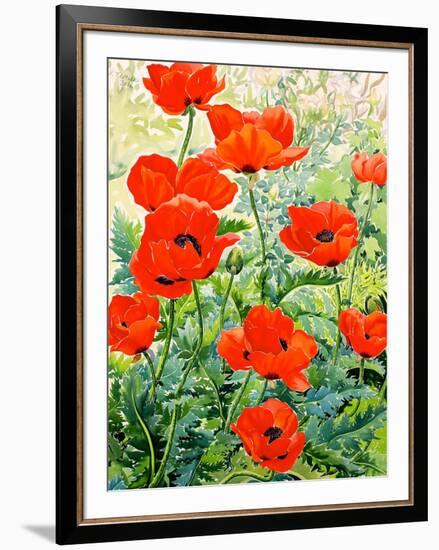 Garden Red Poppies-Christopher Ryland-Framed Giclee Print