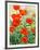 Garden Red Poppies-Christopher Ryland-Framed Giclee Print