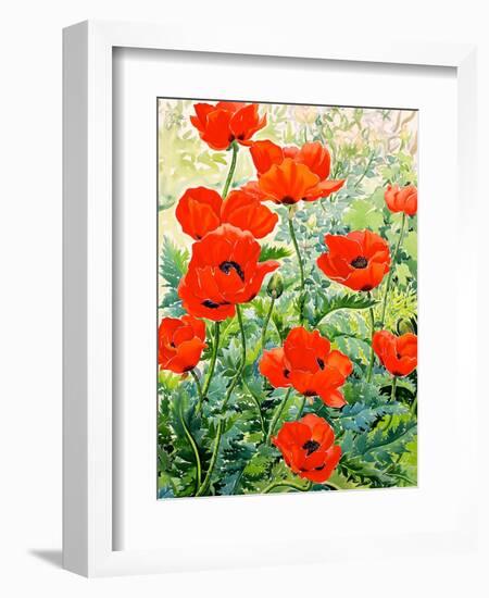 Garden Red Poppies-Christopher Ryland-Framed Giclee Print