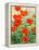 Garden Red Poppies-Christopher Ryland-Framed Premier Image Canvas